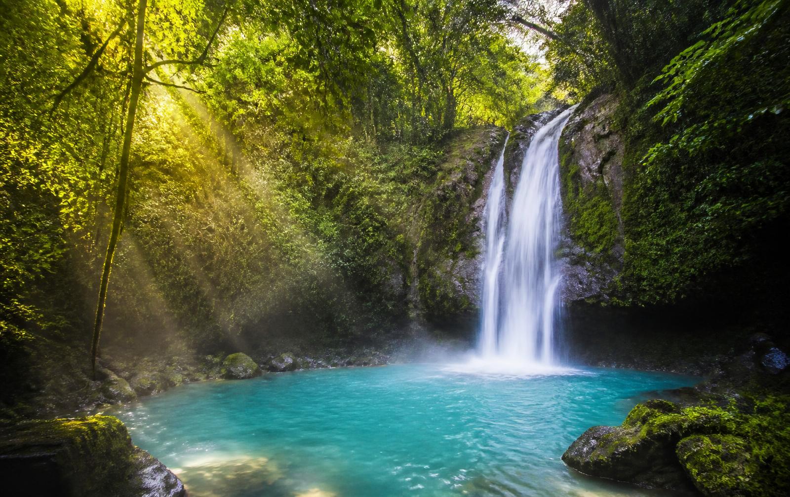 A rainforest waterfall falling into a clear turquoise pool beneath golden light
